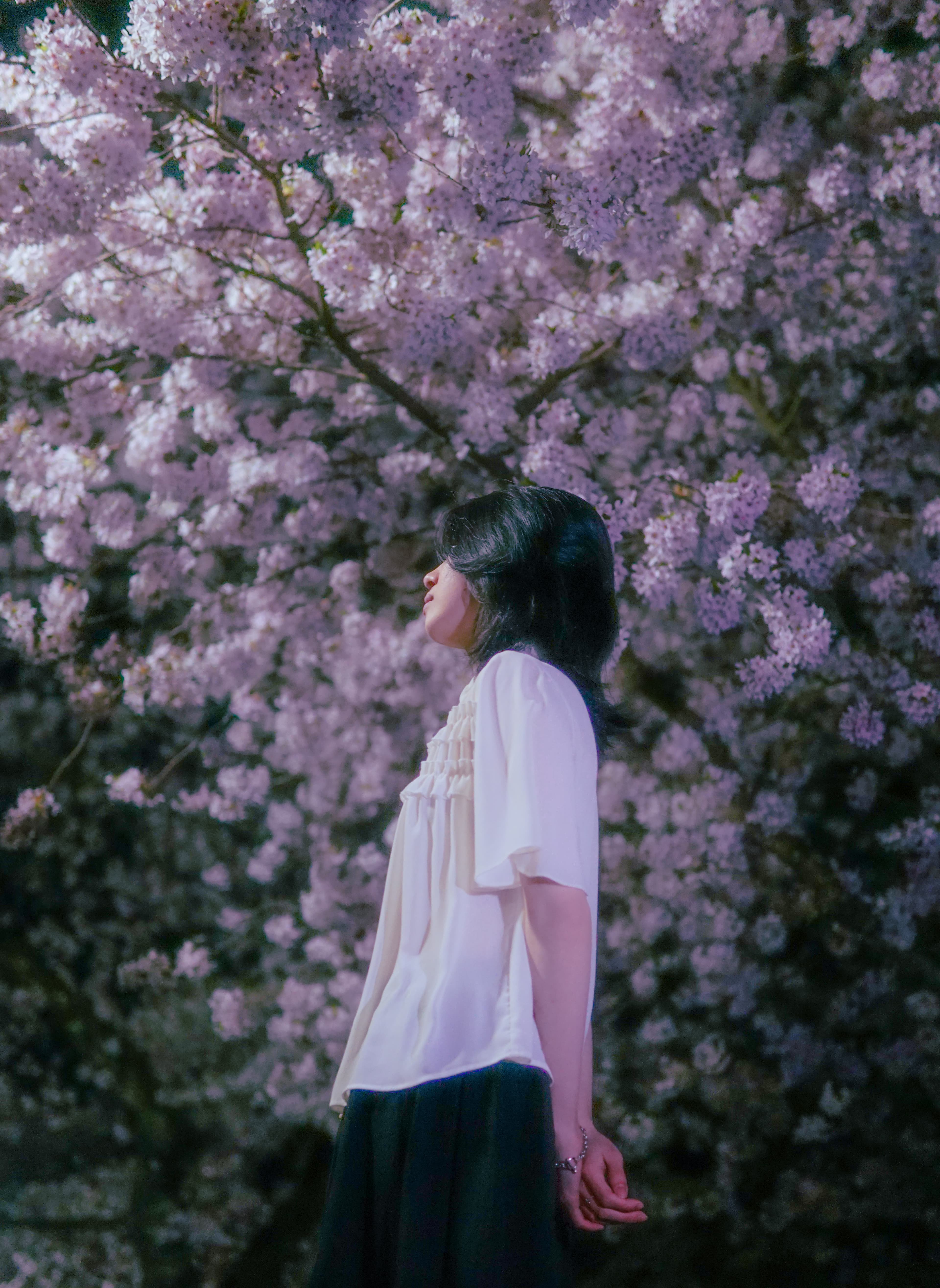 girl standing under cherry blossoms at night