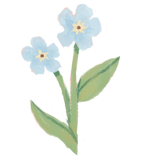 Blue flower